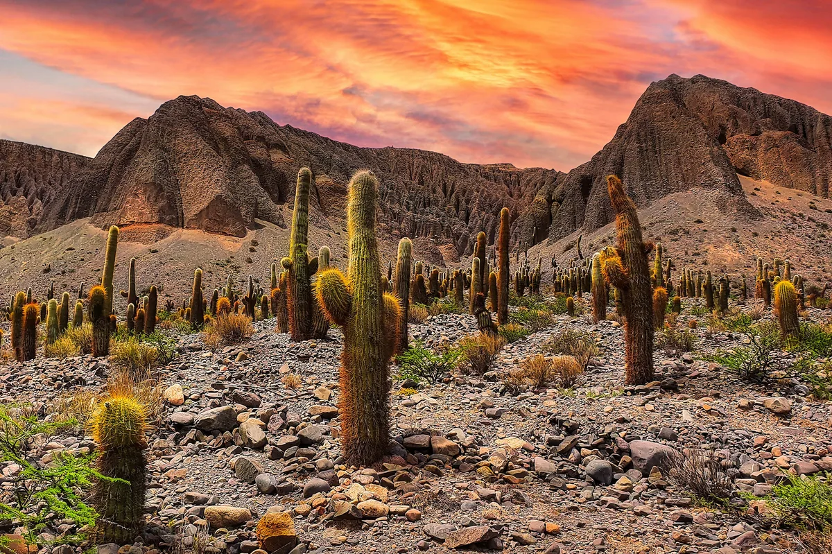 Exploring Bolivia's South Lipez & salt flats — photo 4