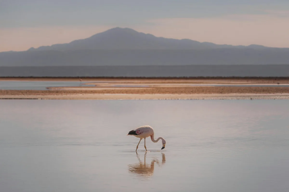 10-day adventure from Machu Picchu to Salar de Uyuni — photo 2