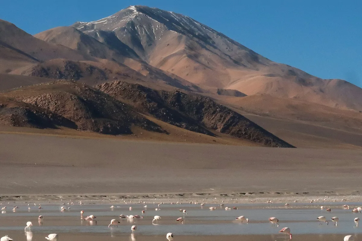 Explore the icons of Bolivia in a week — photo 3