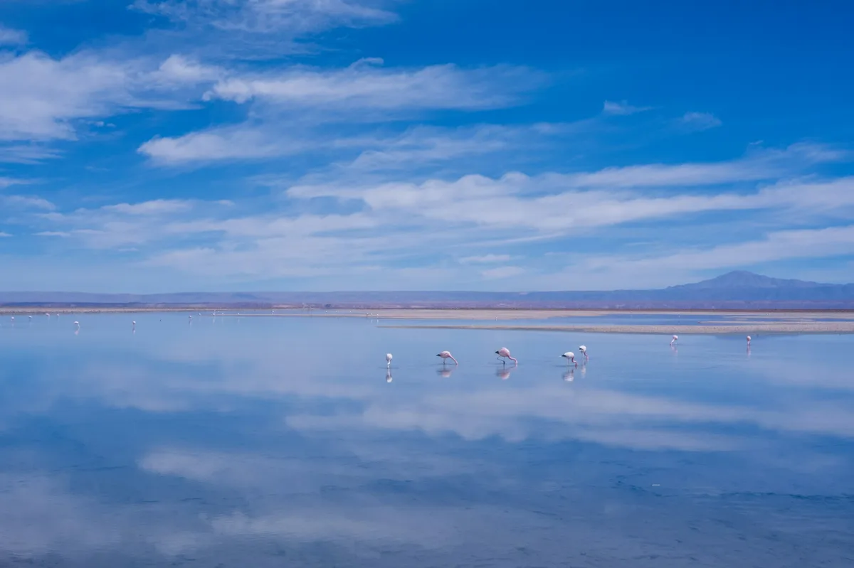 Atacama Desert & Sur Lipez discovery tour — photo 3