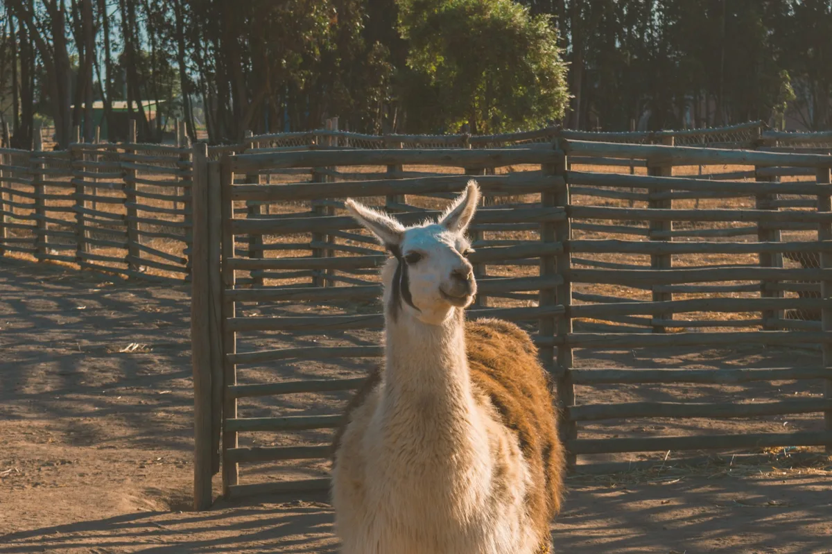 South America's natural icons: Atacama, Uyuni & Machu Picchu — photo 1