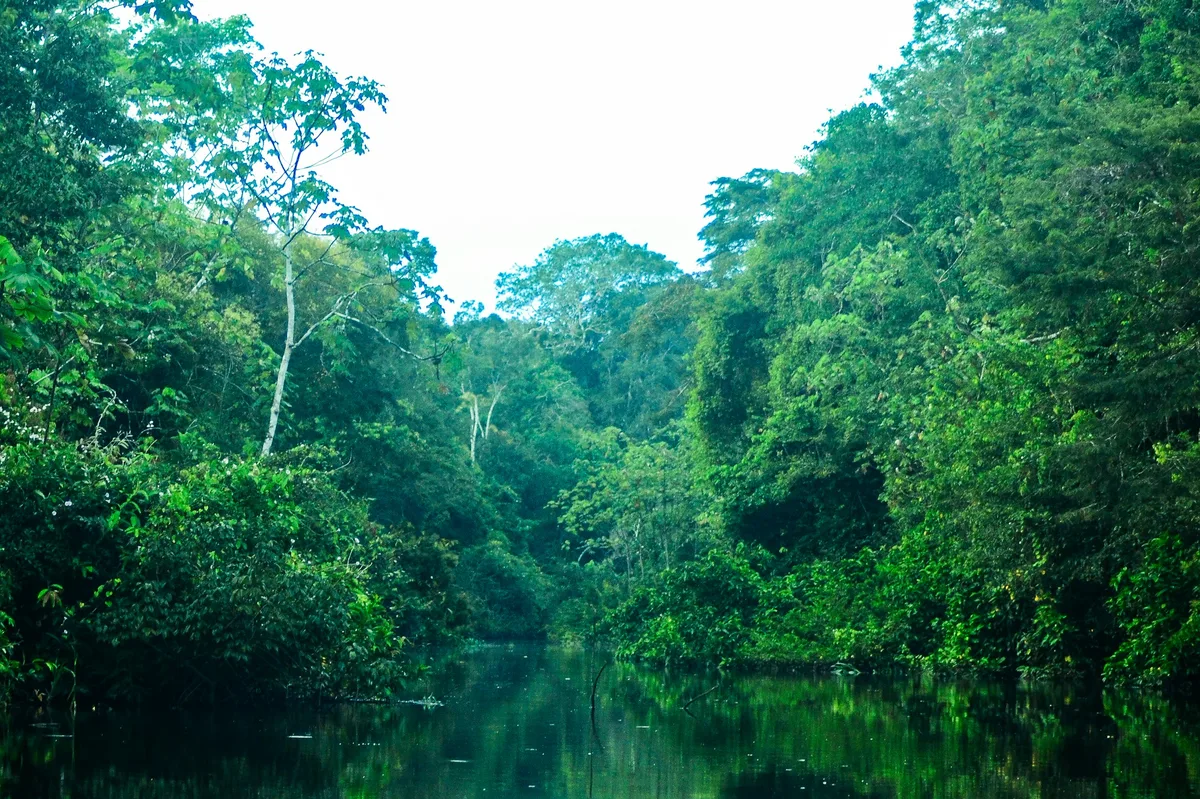 A Unique Family Journey to Rio de Janeiro — photo 4