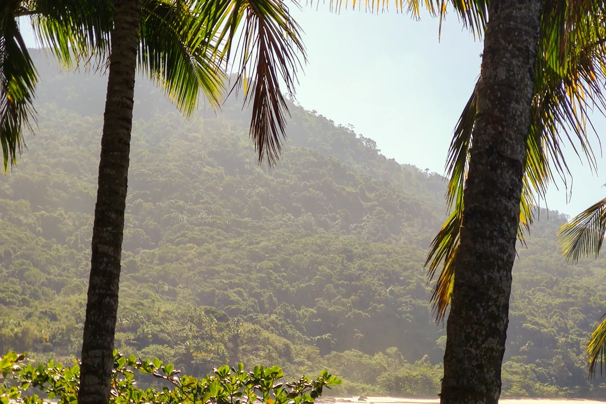 Community Tour of Brazil's Amazon Rainforest — photo 2