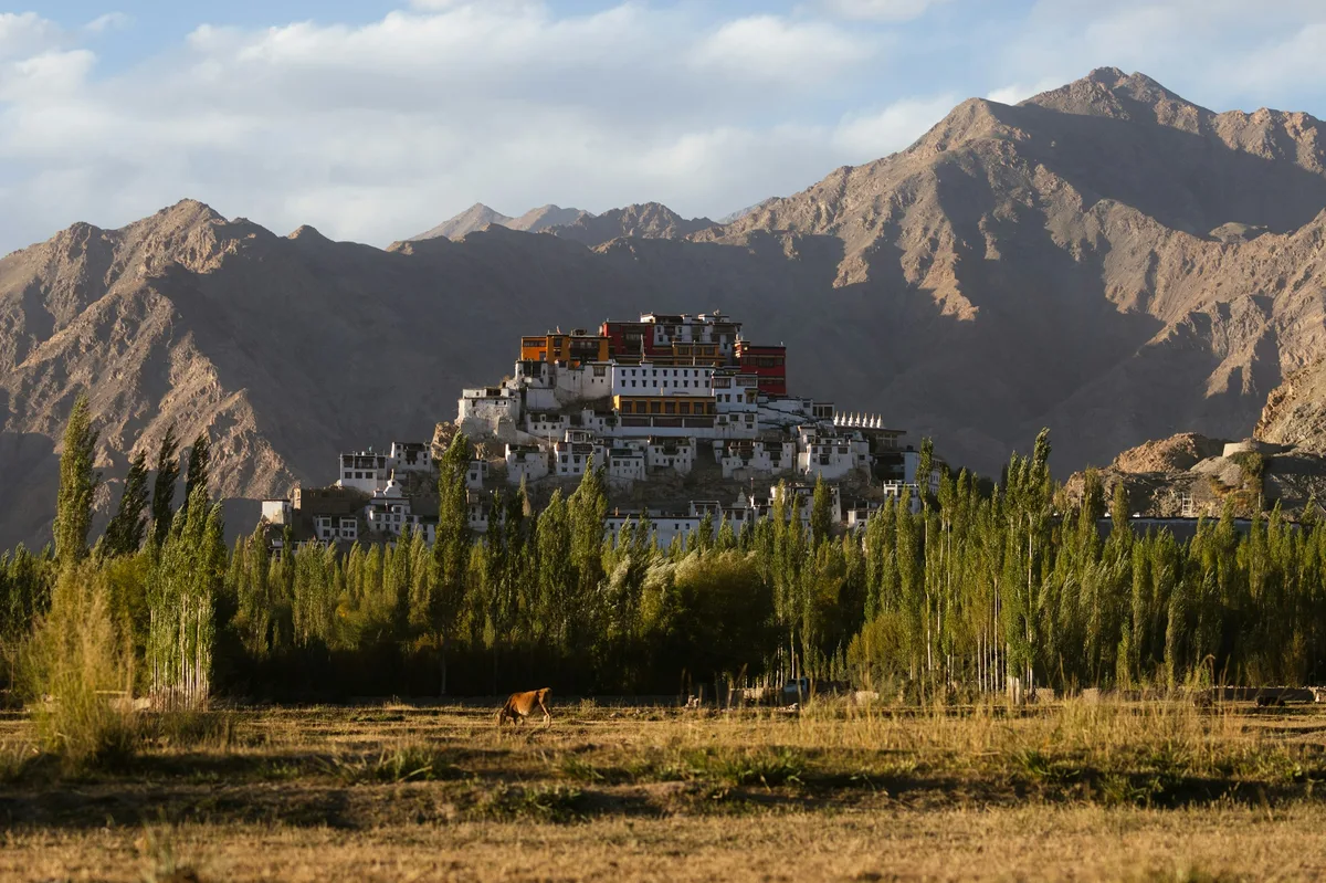Immersive Bhutan Culture & Hiking Tour — photo 2