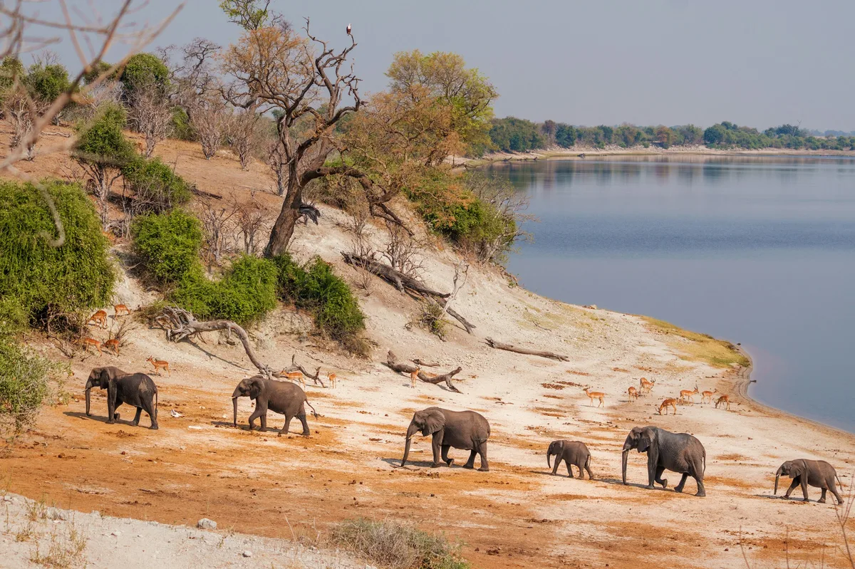 Classic Victoria Falls & Botswana Safari Tour — photo 2