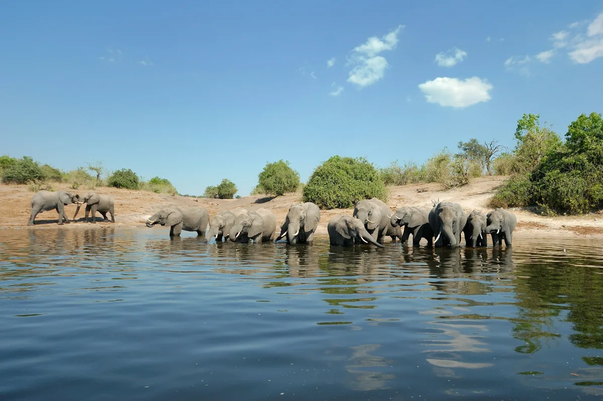 Classic Victoria Falls & Botswana Safari Tour — photo 3