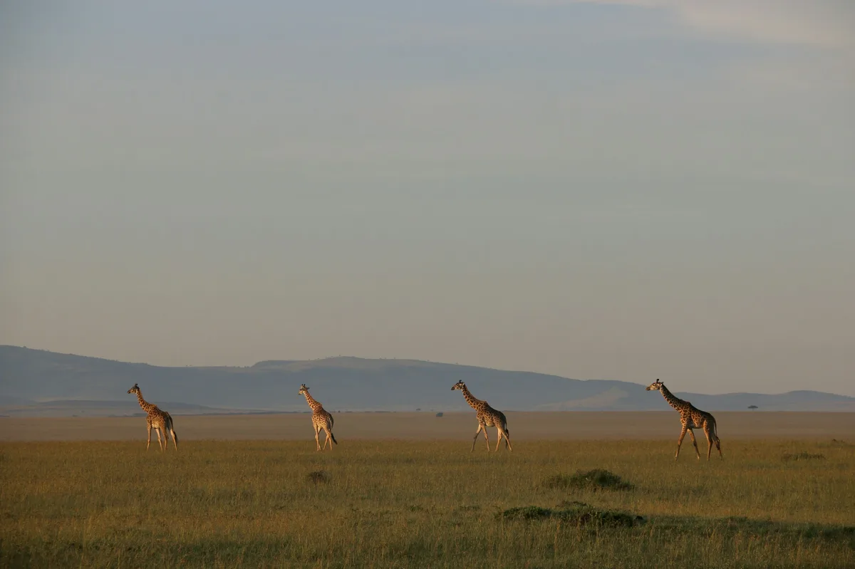 Desert to Delta: 10-Day Botswana Adventure — photo 4