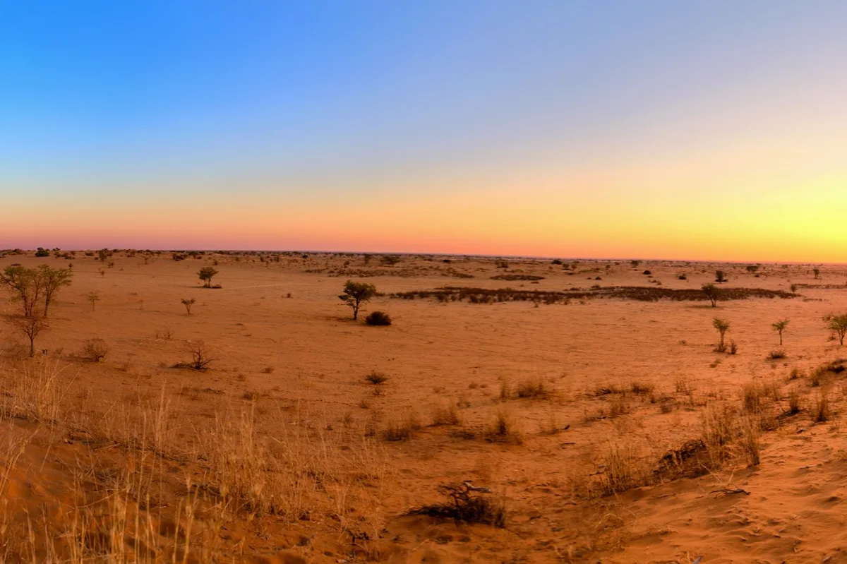 Desert to Delta: 10-Day Botswana Adventure — photo 1
