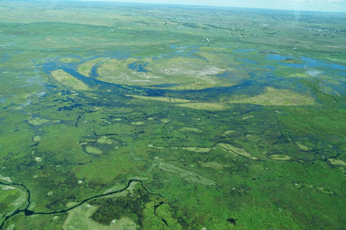 Desert to Delta: 10-Day Botswana Adventure — photo 2