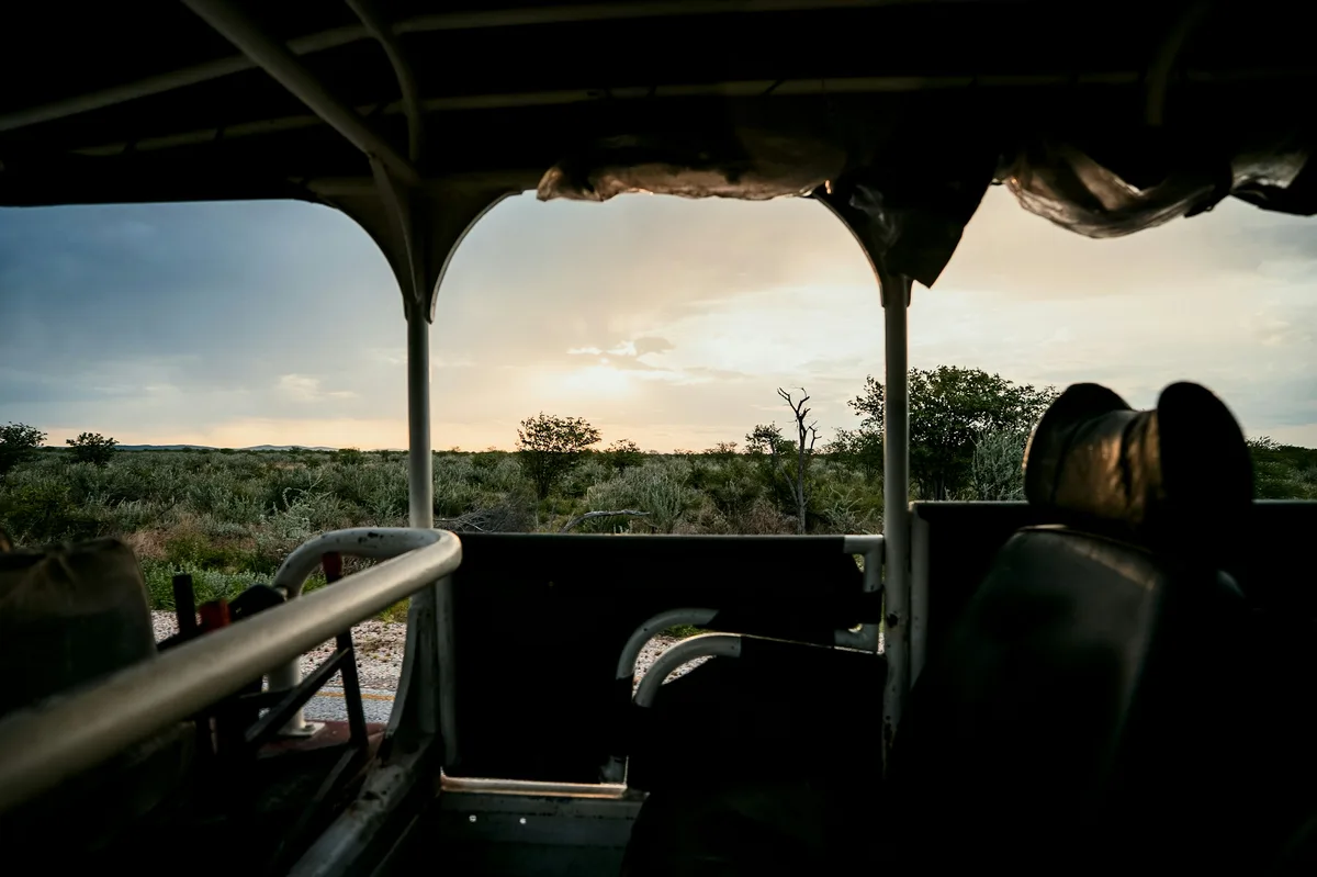 The Wildlife of Botswana: A Safari Experience — photo 5
