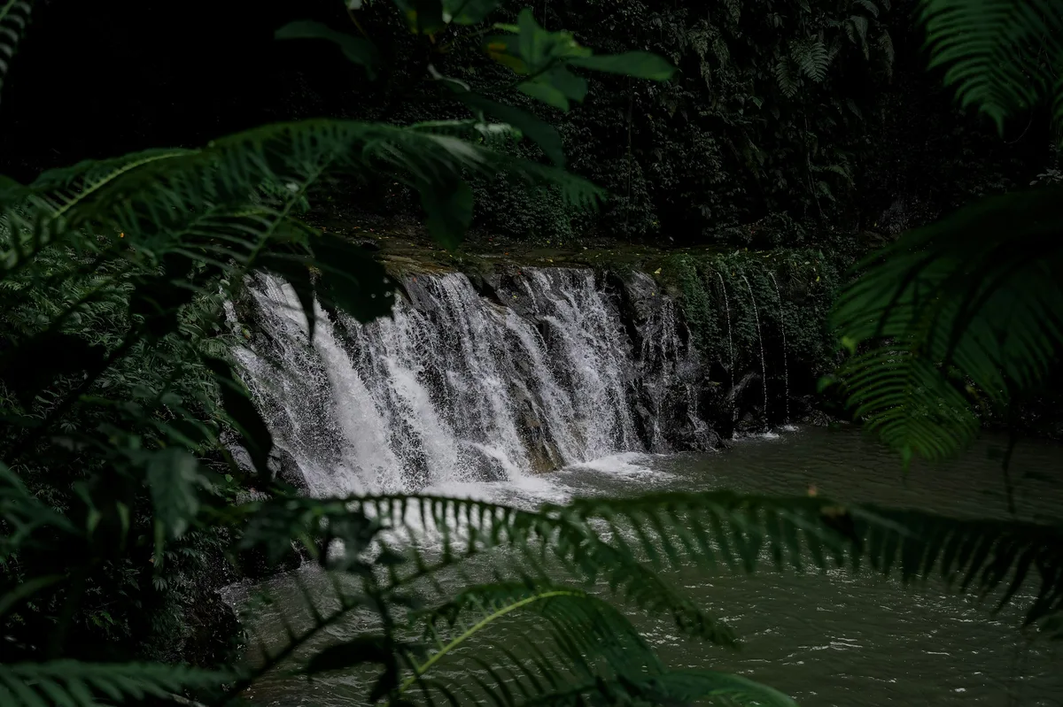 Belize Birdwatching & Wildlife Tour — photo 5