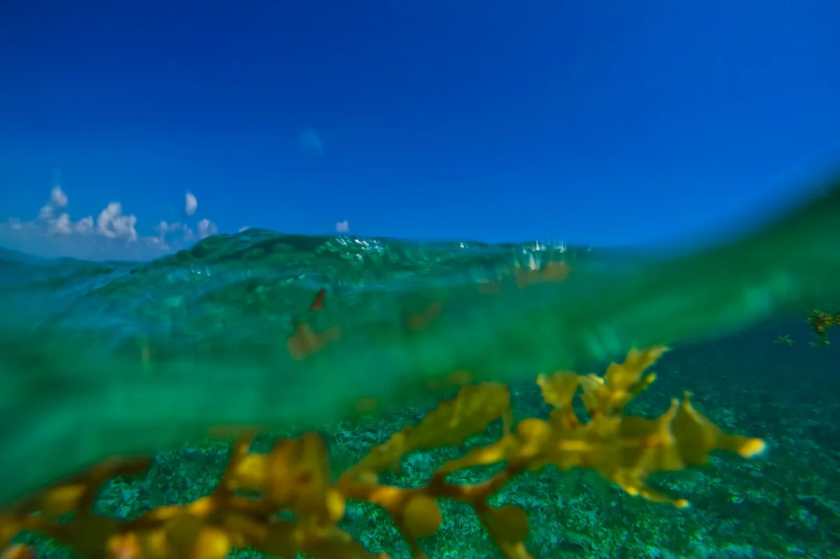 8-Day Belize Diving Adventure — photo 2
