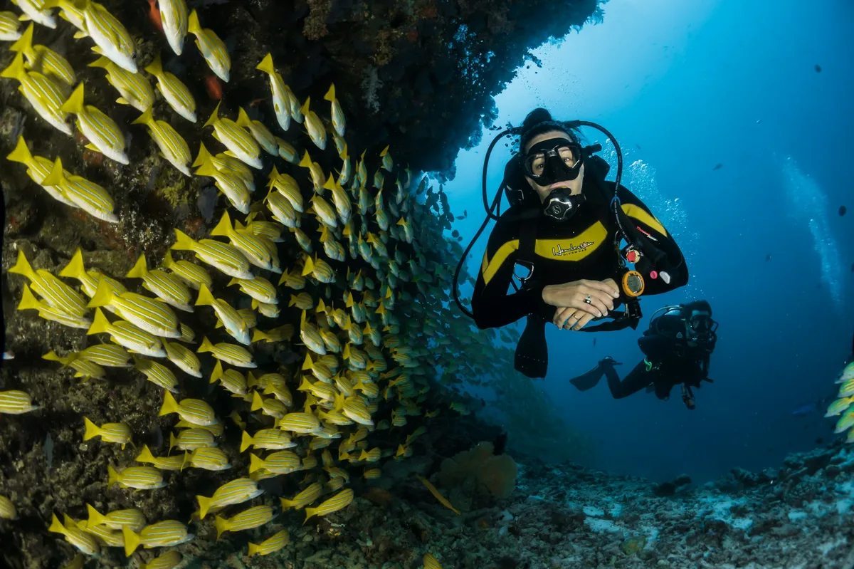 8-Day Belize Diving Adventure — photo 3