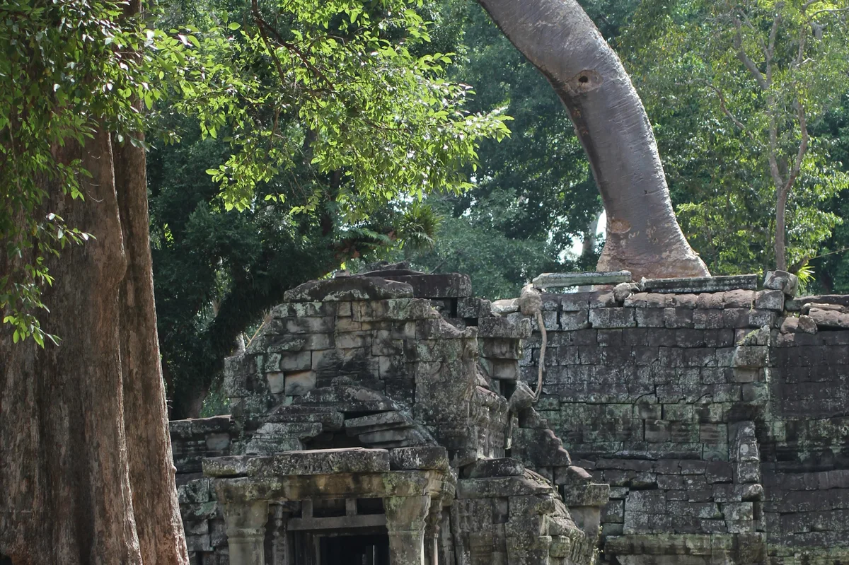 9 Days in Cambodia: Temples & Beaches — photo 5