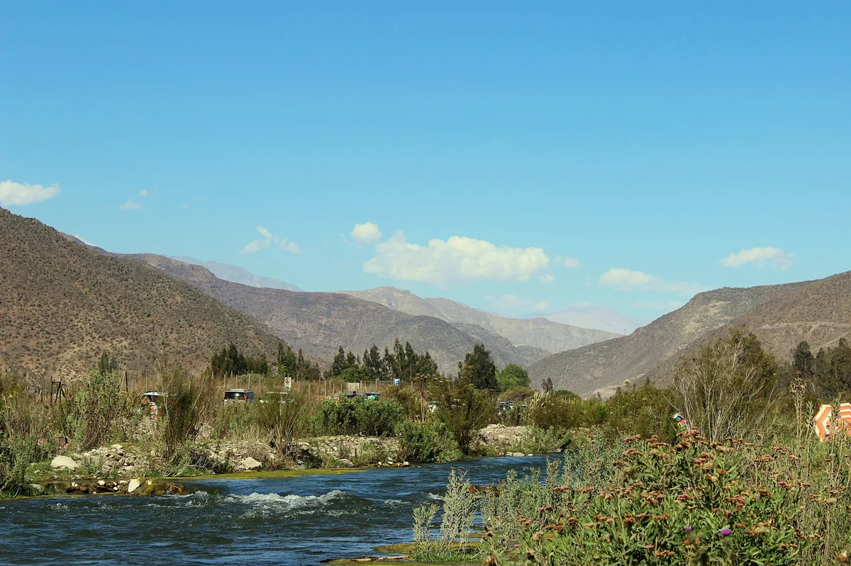 Family Safari Tour of North & South Chile — photo 5