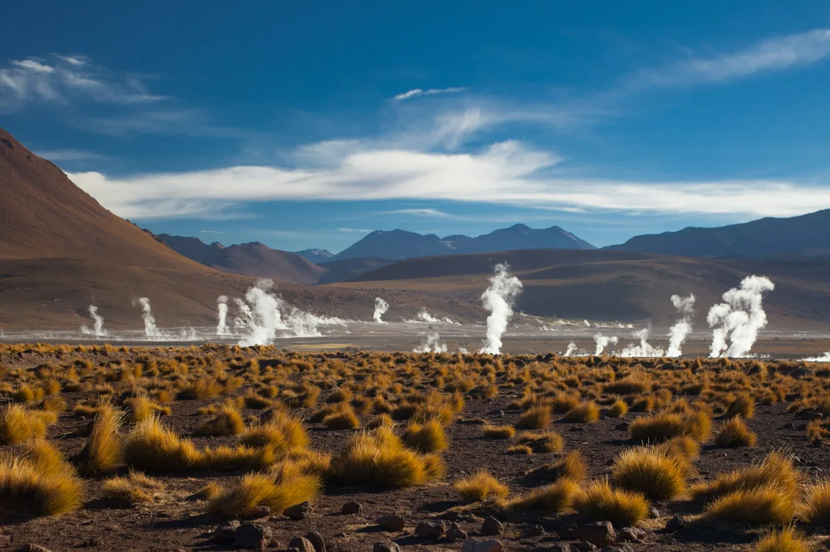 Luxury Chile Nature Trip in 10 Days — photo 5