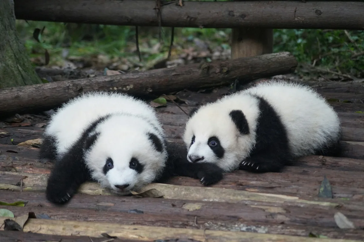 12-Day China Tour Off the Beaten Track — photo 1