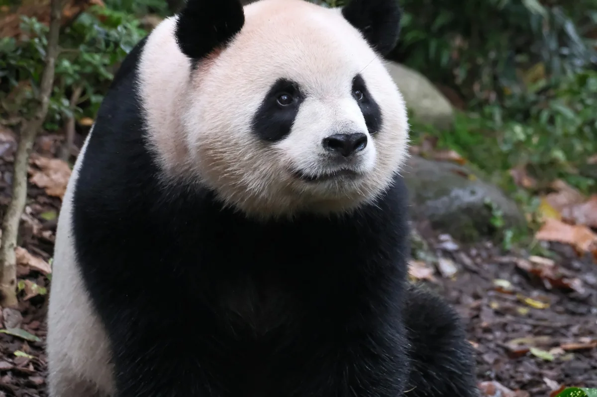 14-Day Hiking & Culture Tour Through China — photo 3