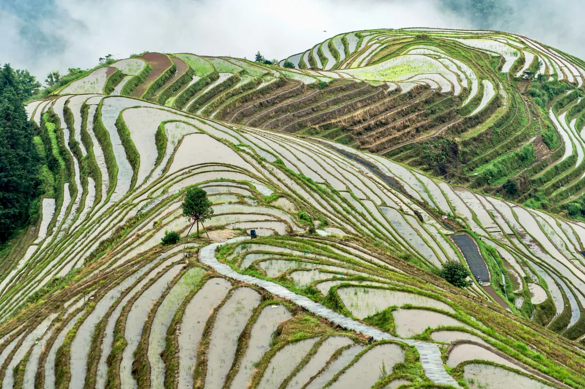 Classic China 12-Day Tour: Old Meets New — photo 4