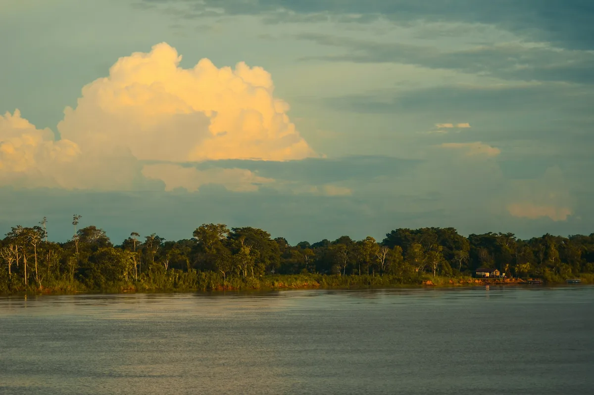 Wild Colombia: From the Amazon to the Pacific — photo 4