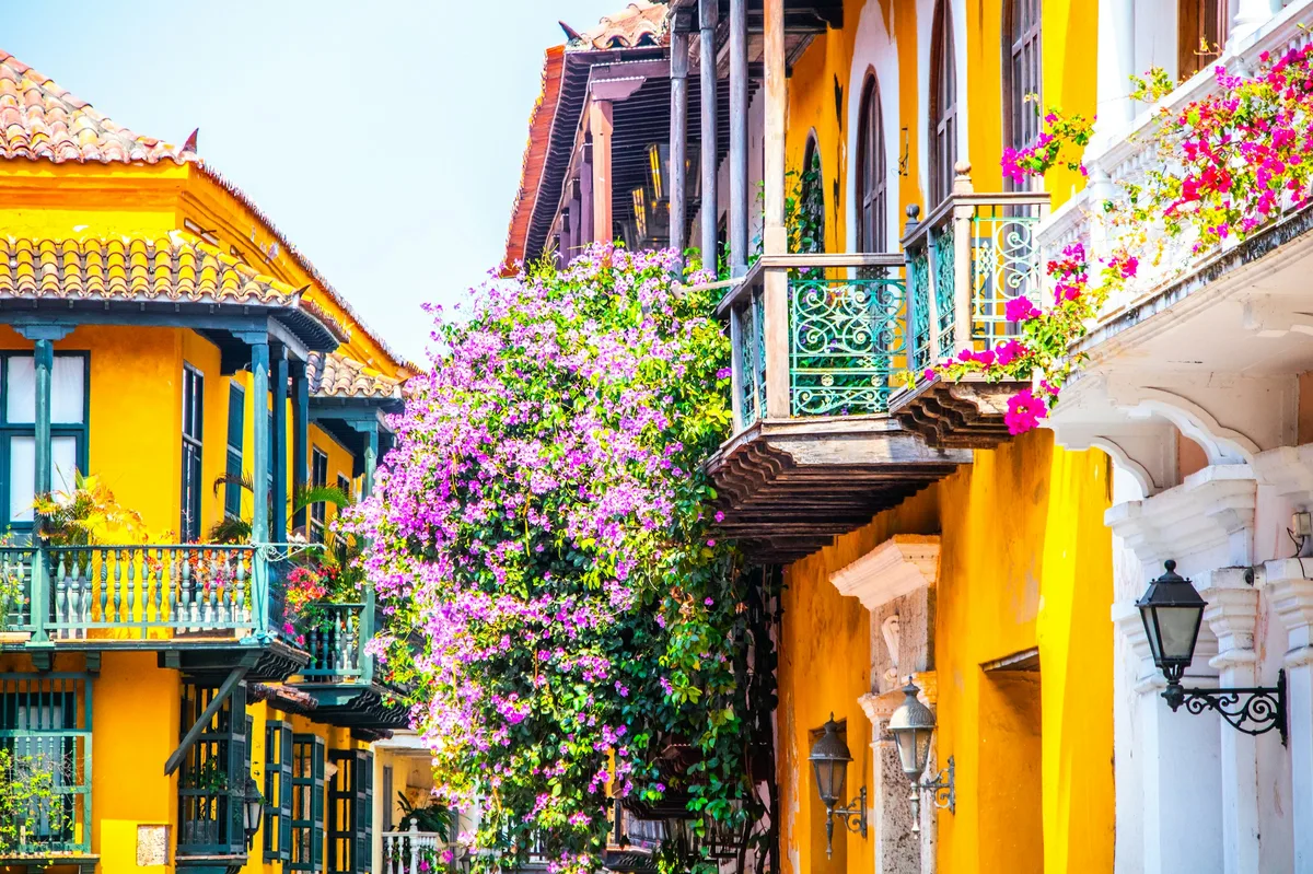 Green Colombia: Eco-Friendly 15-Day Tour — photo 4