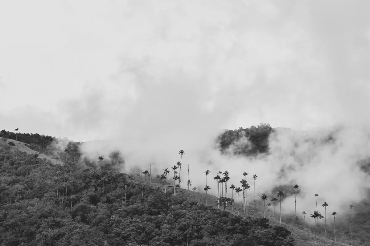 Green Colombia: Eco-Friendly 15-Day Tour — photo 2