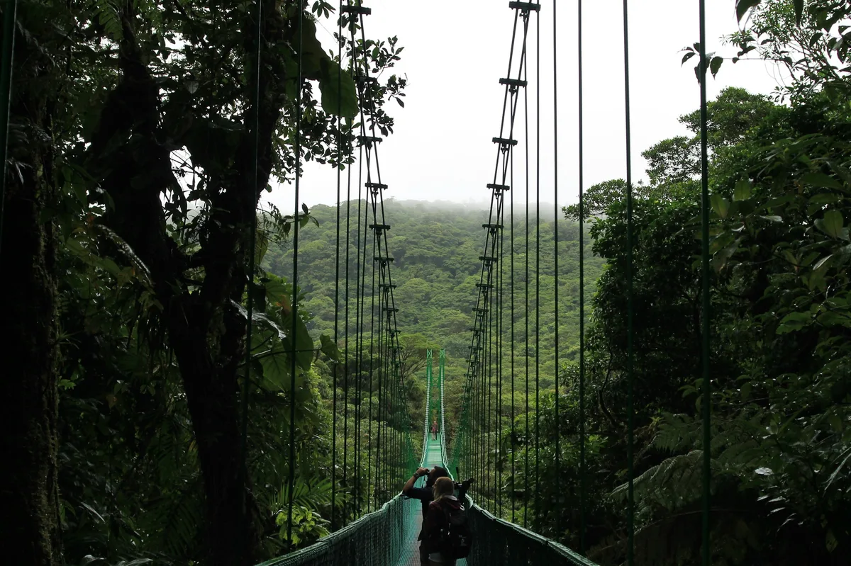 Costa Rica: Best of Guanacaste & the Nicoya Peninsula — photo 2