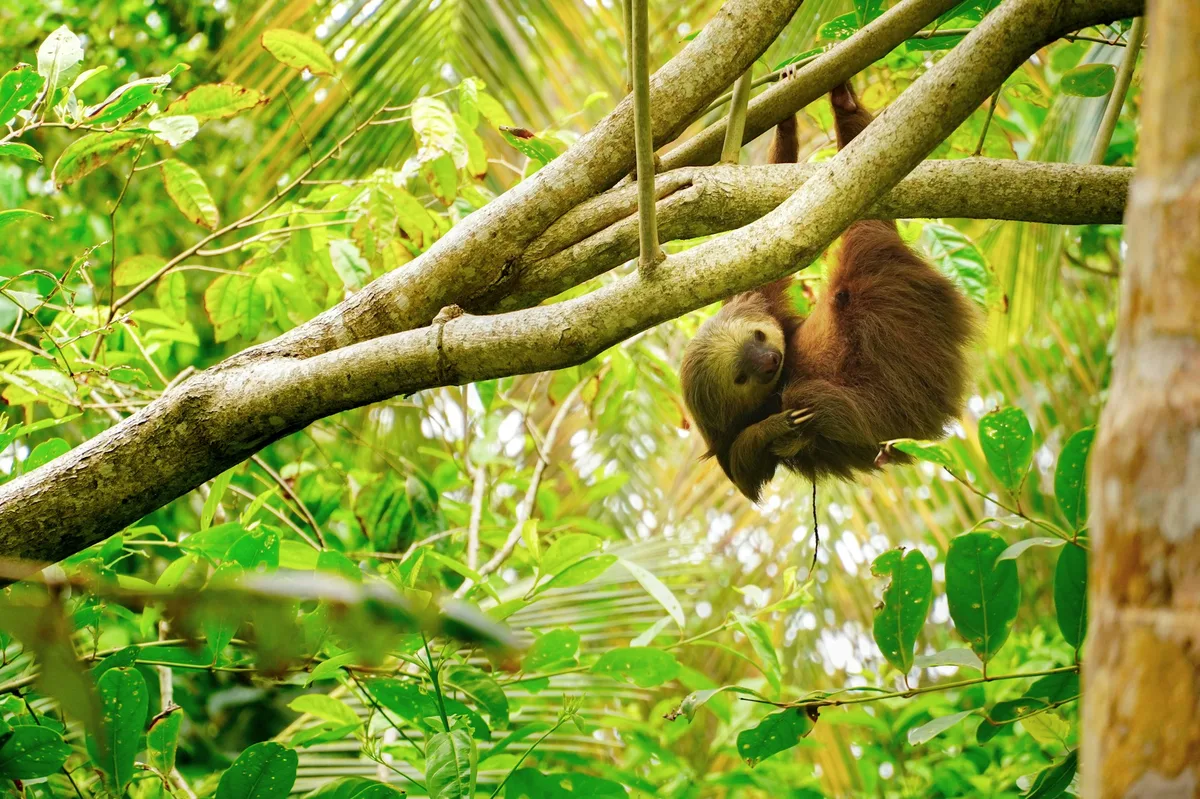 Off the Beaten Path in Costa Rica — photo 5