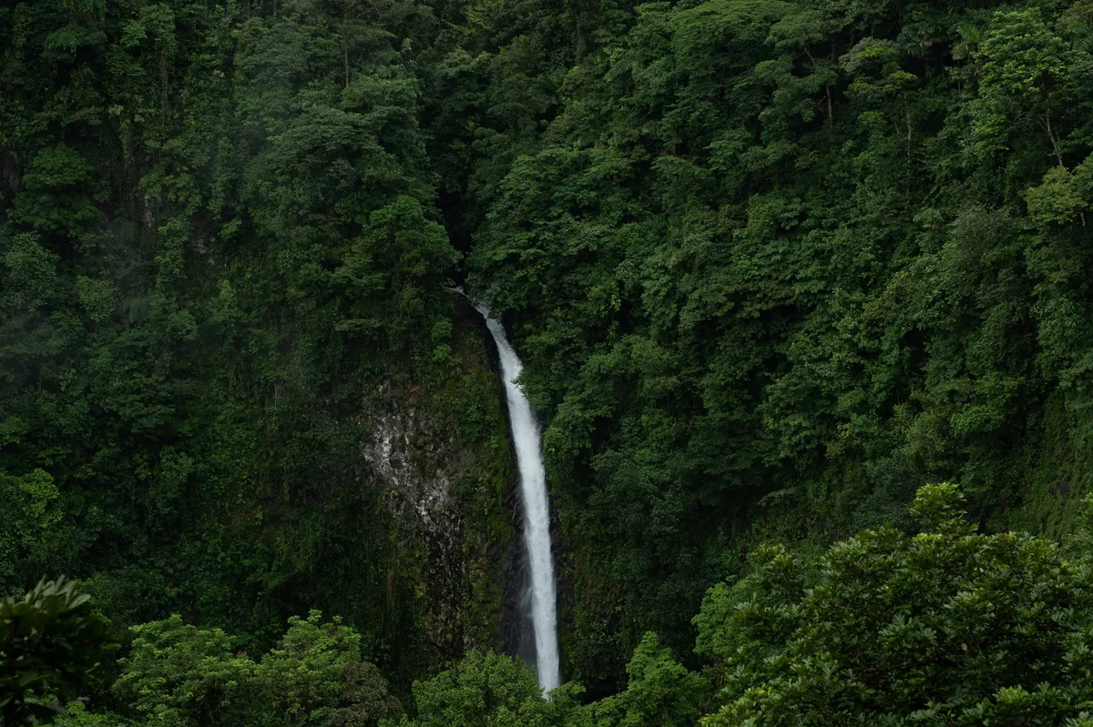 Costa Rica: Nature & Culture Off the Beaten Track — photo 4