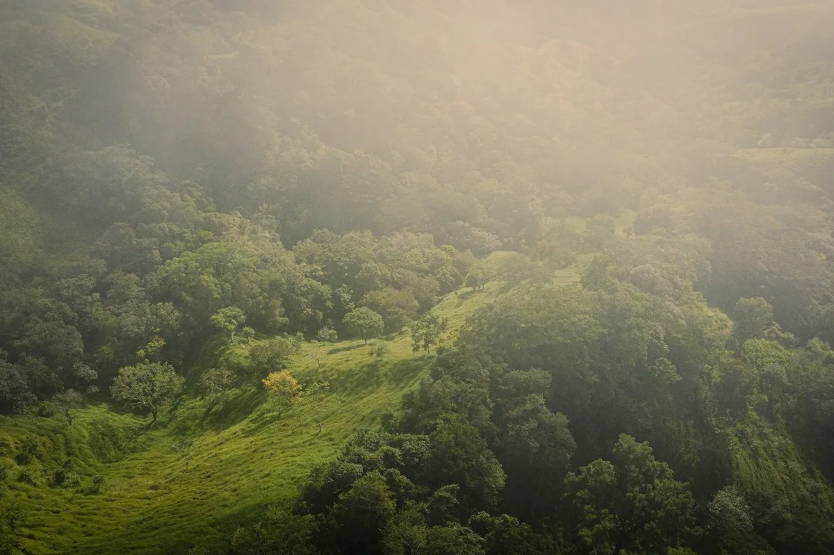 Offbeat Luxury in Costa Rica — photo 5