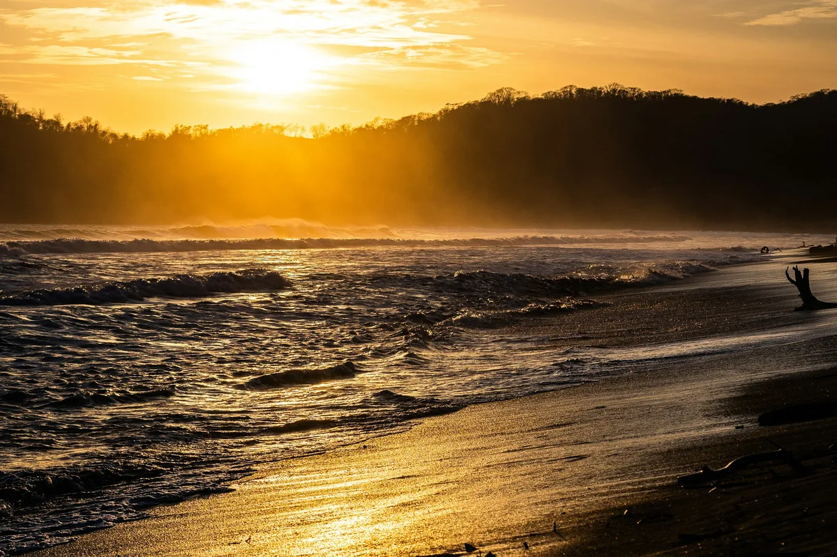 Jungle & Coast: A Corcovado Odyssey — photo 1