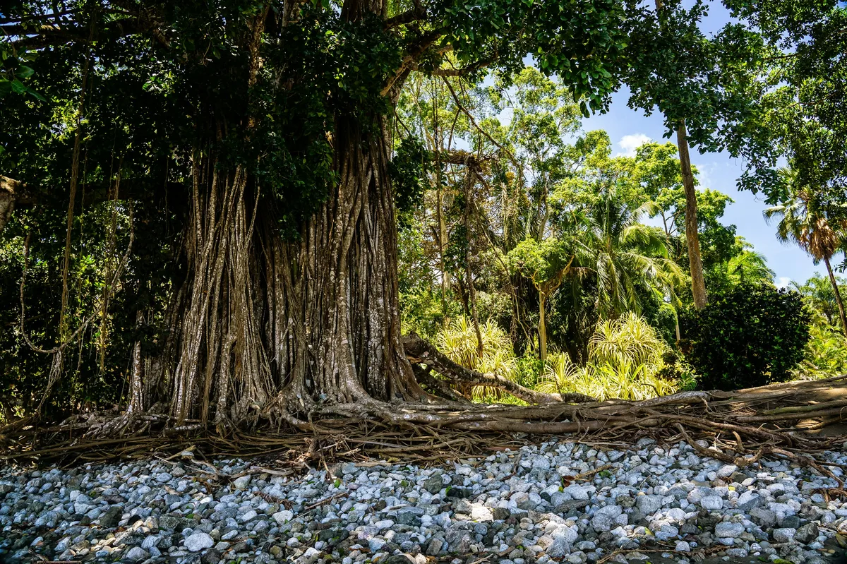 Wonders of Costa Rica & Panama — photo 1