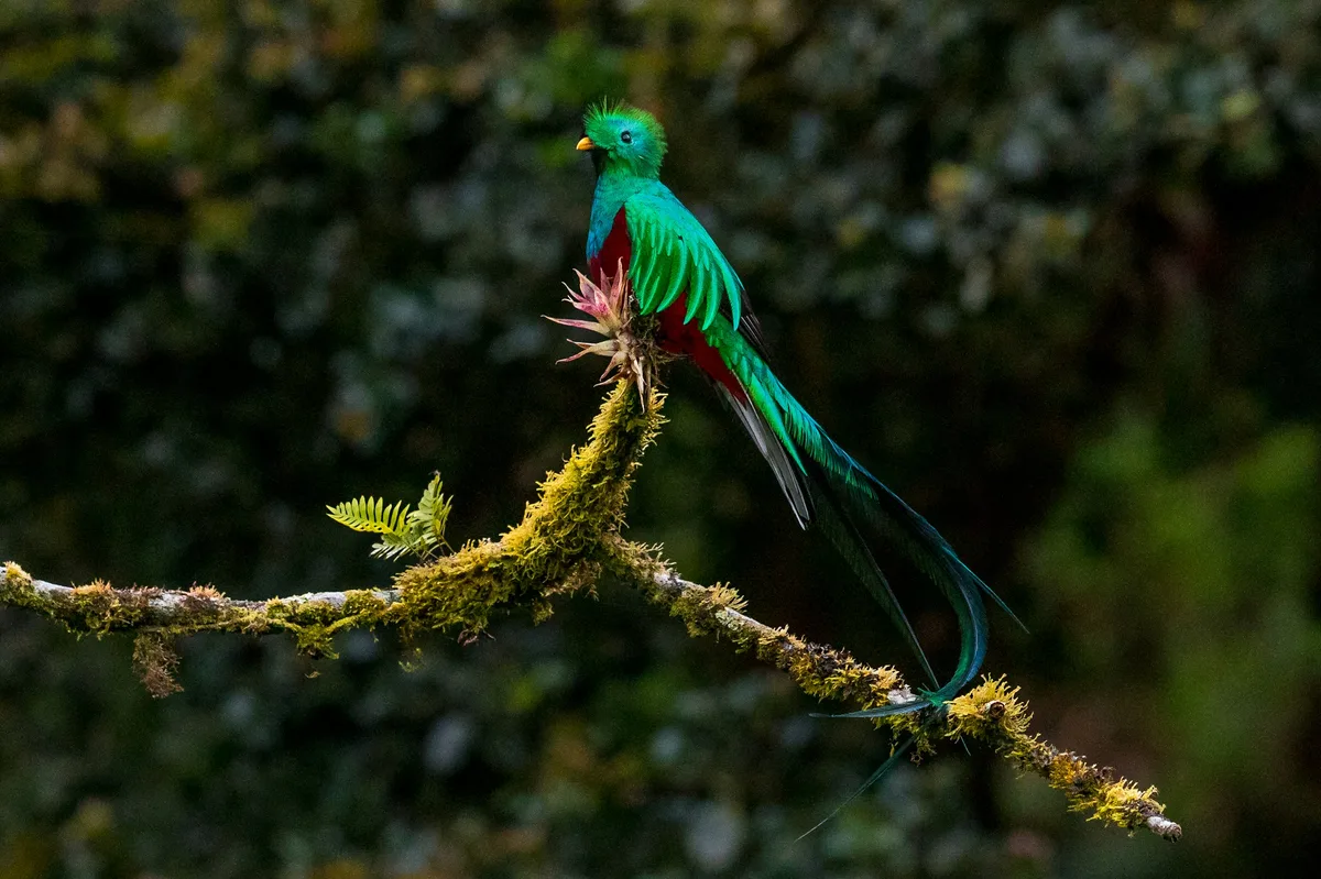 Costa Rica's Caribbean Highlights in One Week — photo 3