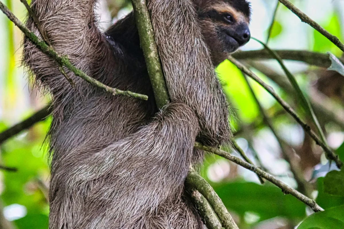 Off the Beaten Path in Costa Rica — photo 1