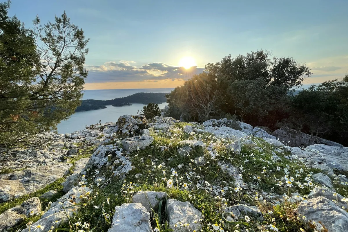 Gourmet Experience in Croatia — photo 5