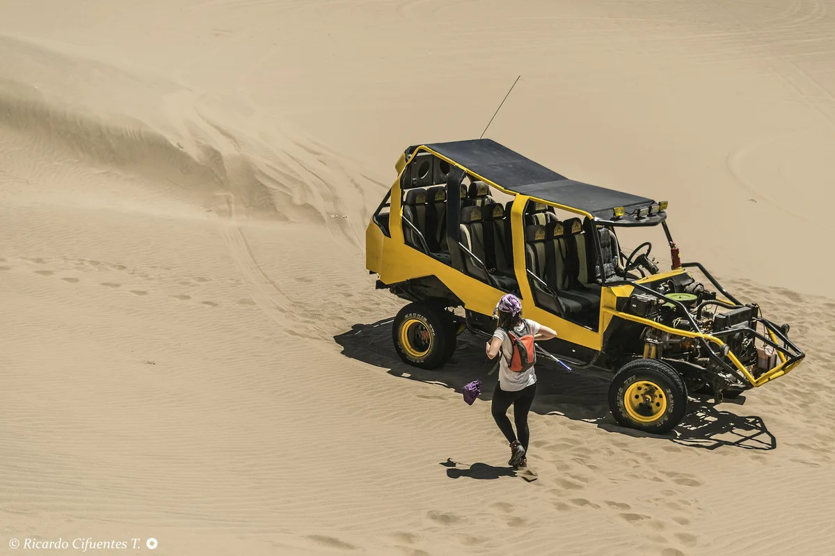Dubai Desert Safari with BBQ Dinner — photo 4