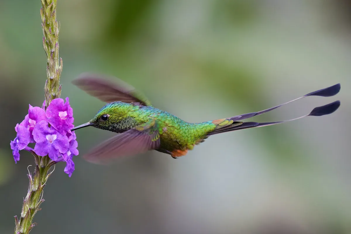 8-Day Ecuador Adventure in the Upper Amazon — photo 1