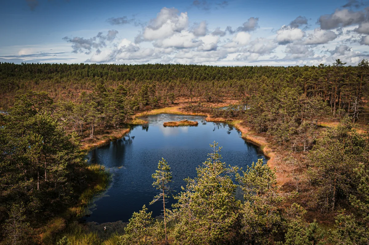 Self-Drive Trip in Estonia & Latvia — photo 2