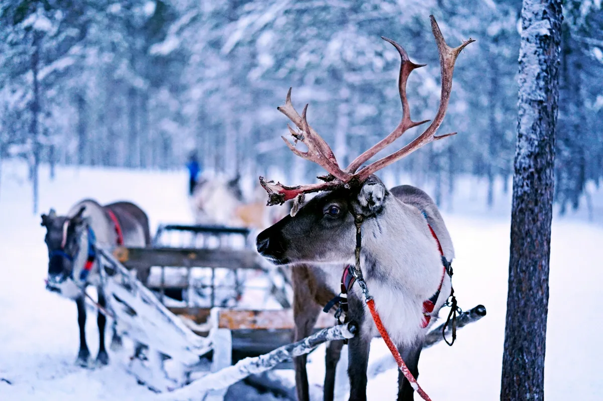 Self-Drive Trip in the Baltics — photo 1