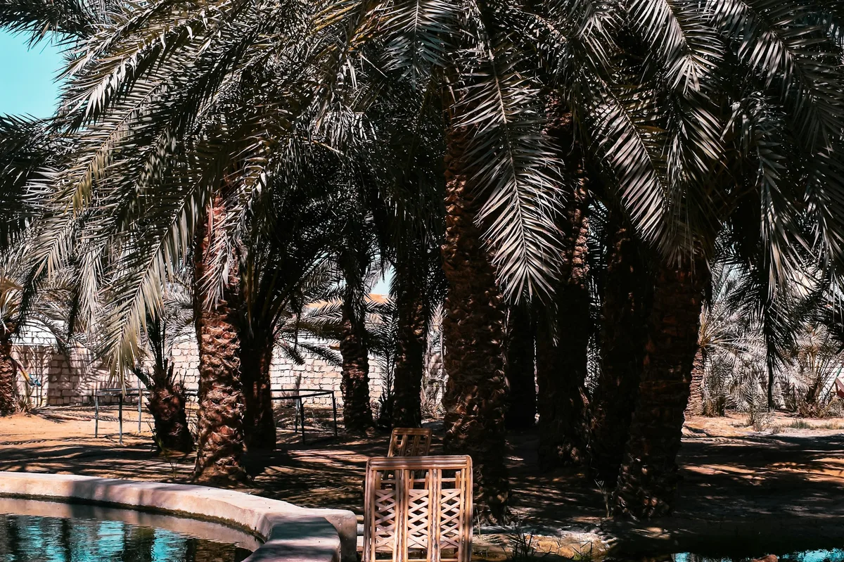 A Family-Friendly Journey Through Egypt — photo 1