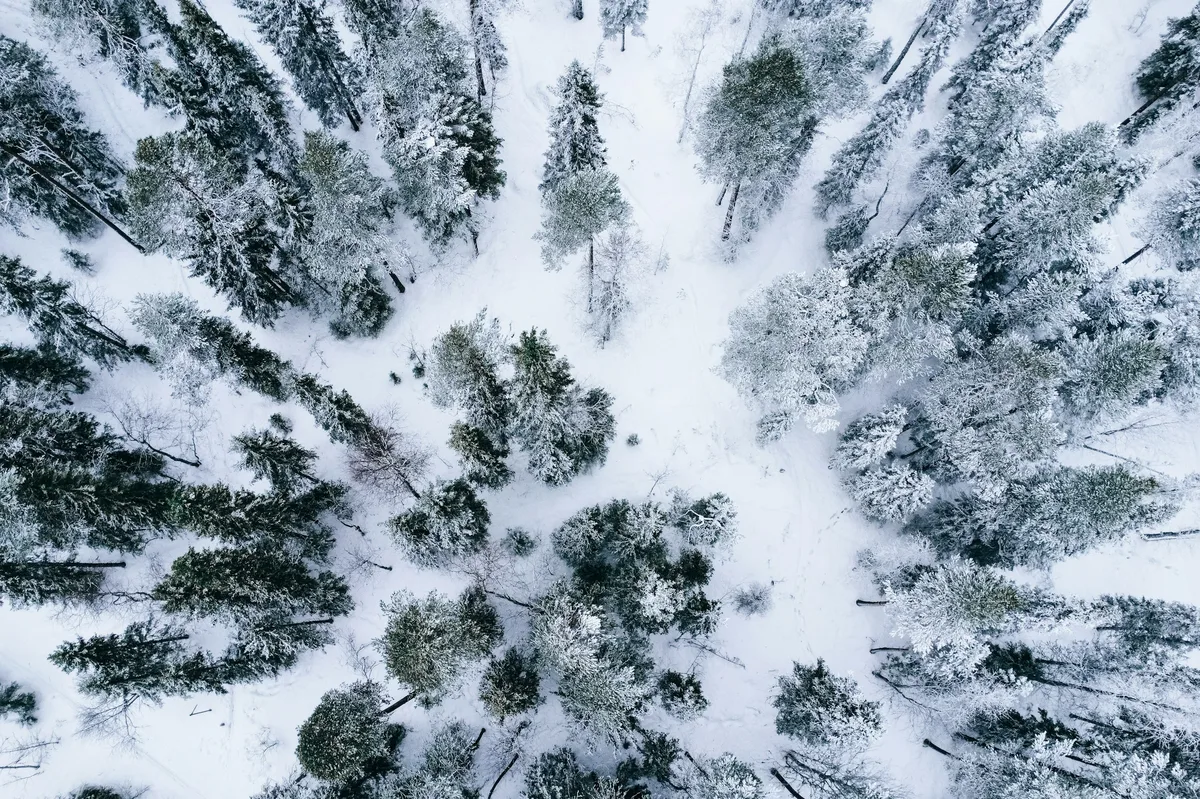 8-Day Winter Tour in Finland & Estonia — photo 4