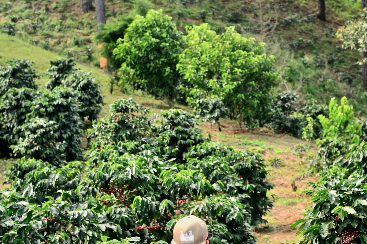 10-Day Guatemala Adventure: Atitlan, Antigua & Acatenango — photo 5