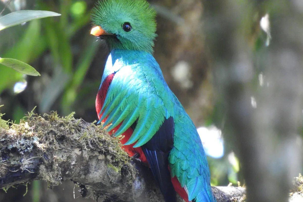 12-Day Family Adventure Through Guatemala — photo 2