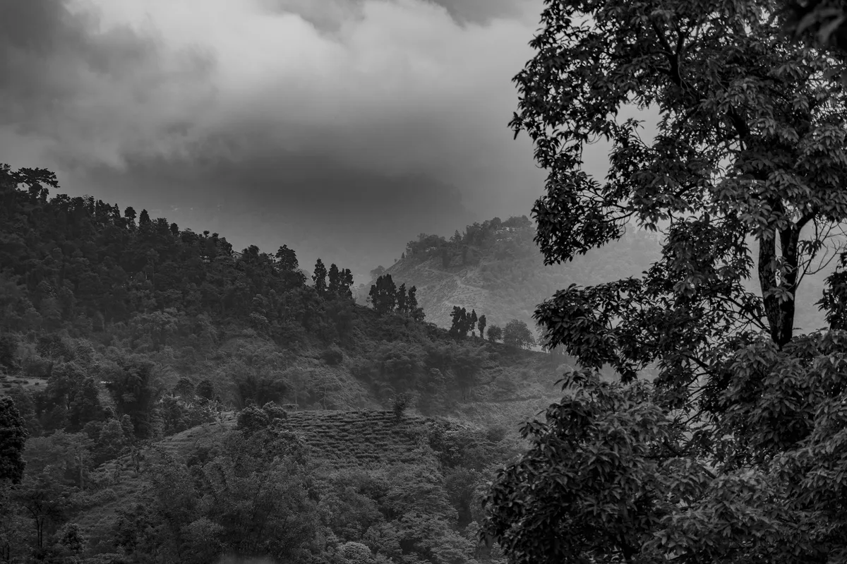 Ladakh: Land of Monasteries & High Passes — photo 4