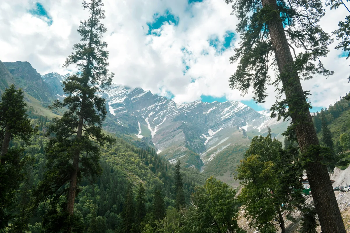 Sikkim & Darjeeling: Tea Country of the Eastern Himalayas — photo 1