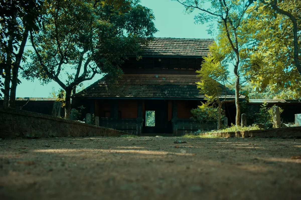Vibrant Southern India: Tamil Nadu, Kerala & Goa — photo 3