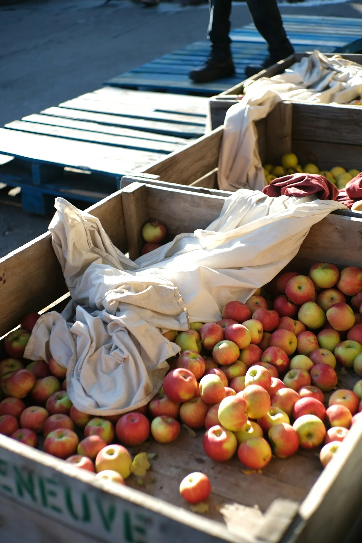 Jean-Talon Market & Little Italy Private Food Tour — photo 4
