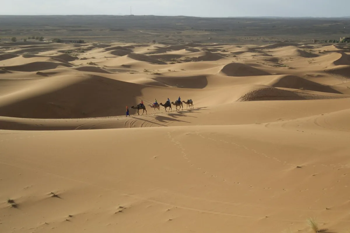 Morocco's Finest: Essential Highlights Tour — photo 2