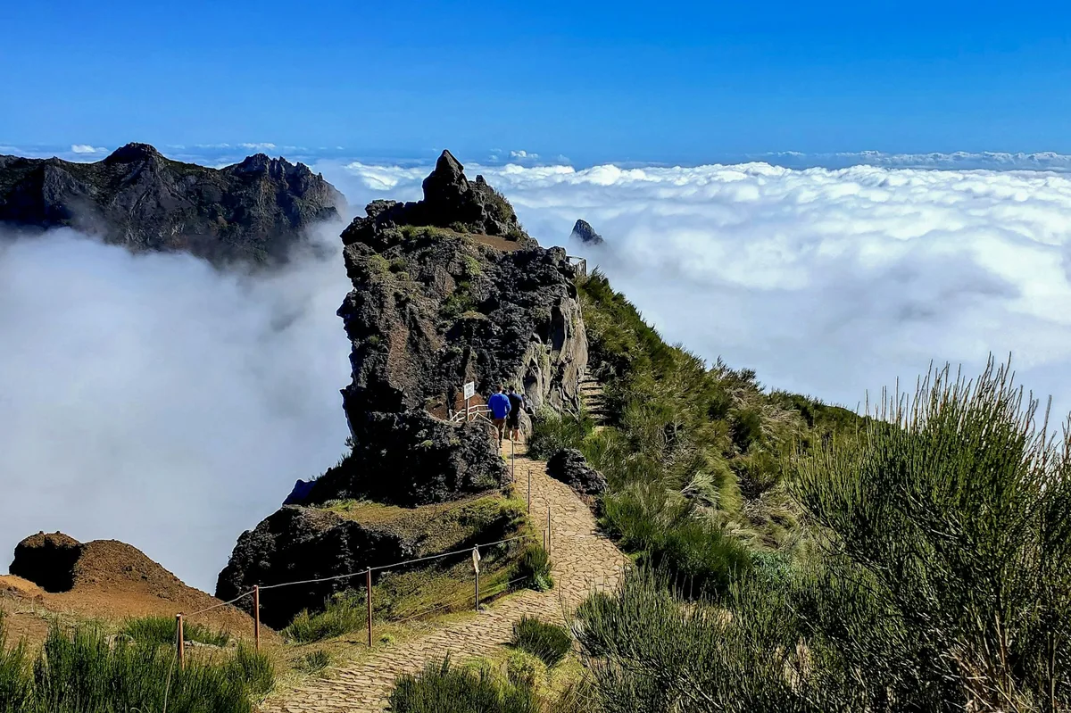 Discover Madeira's Magic: Funchal & Beyond — photo 2