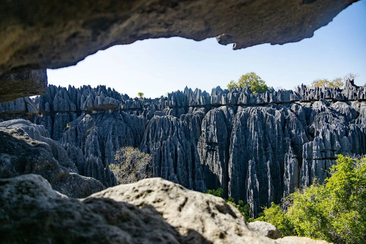 Western Madagascar: Baobabs, Tsingy & the Tsiribihina River — photo 2